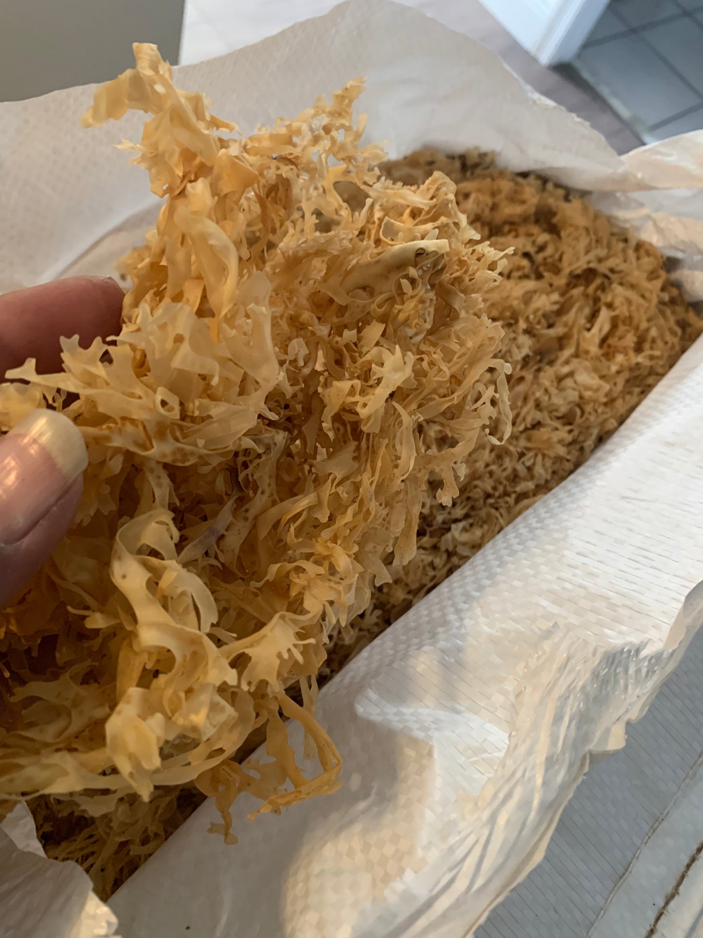 Seaweed seamoss