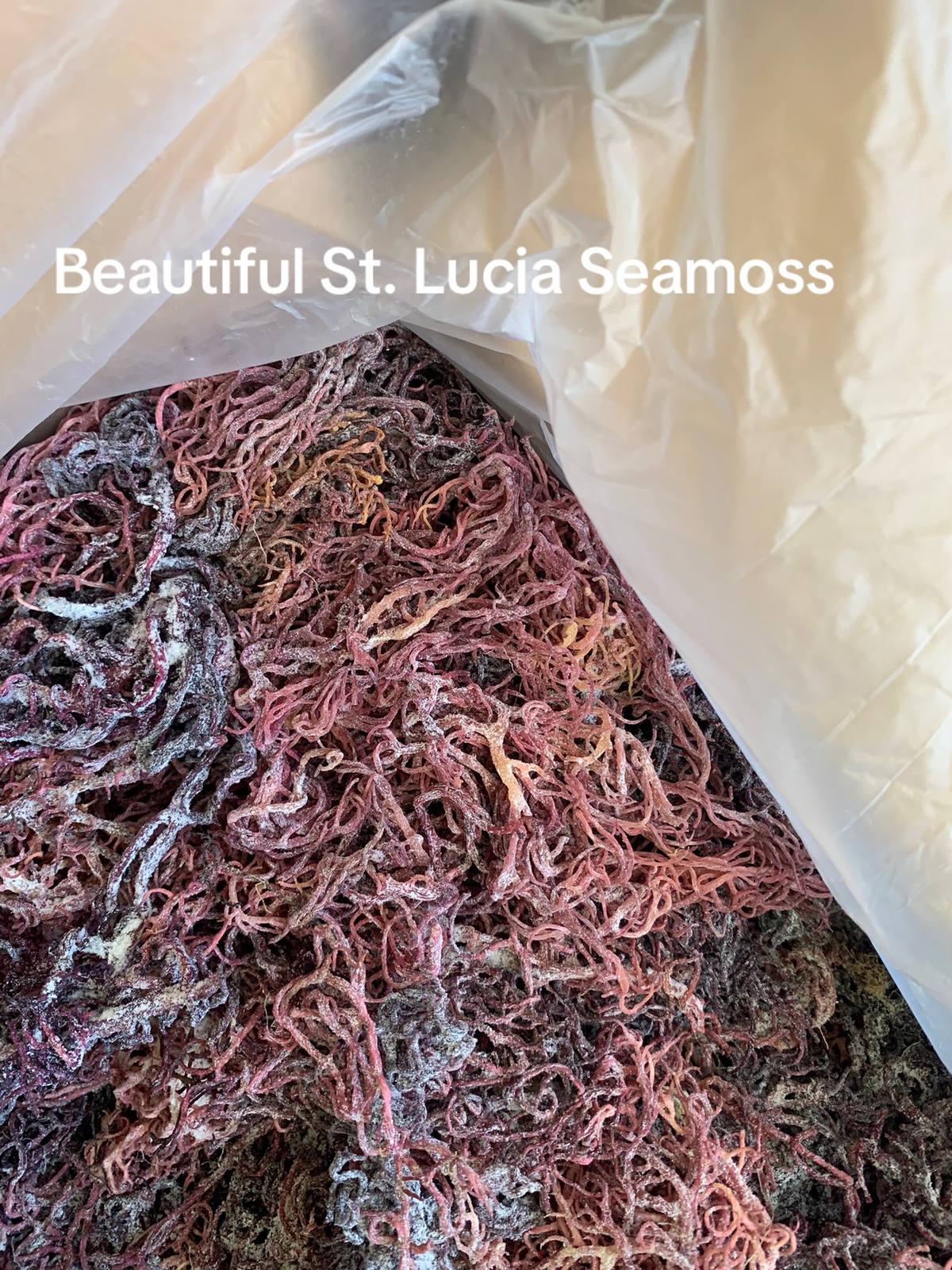 St. Lucia , purple or gold $14 pre pound.. for bulk sales call or text 561-702-2648